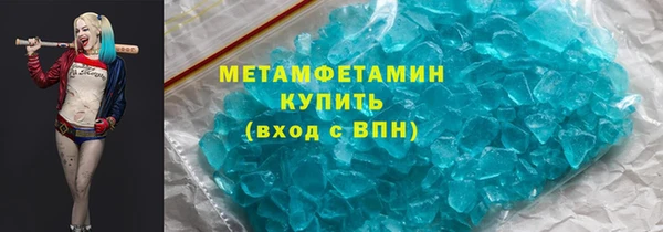 прущие грибы Беломорск