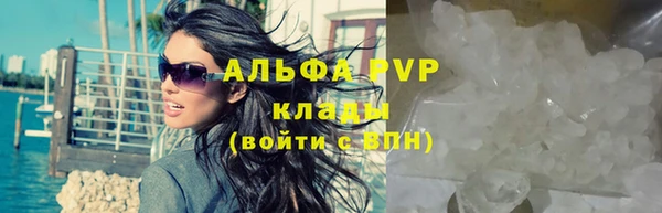 прущие грибы Беломорск