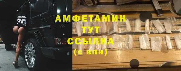 прущие грибы Беломорск