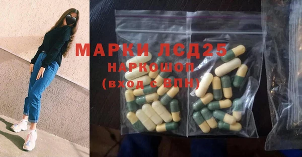 прущие грибы Беломорск