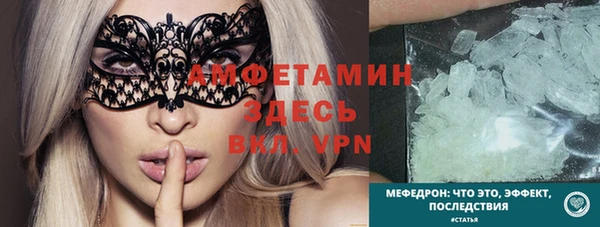 прущие грибы Беломорск