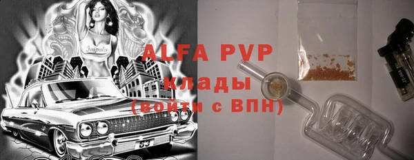 прущие грибы Беломорск