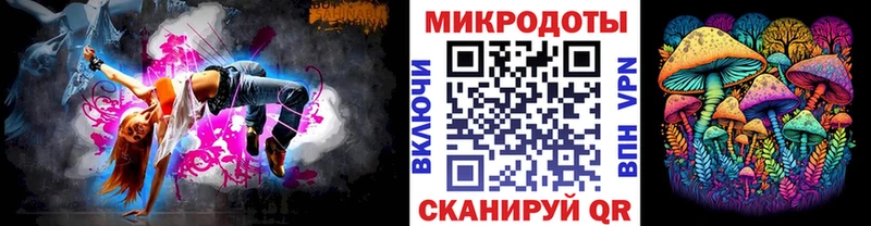 закладка  Петров Вал  Псилоцибиновые грибы мухоморы 
